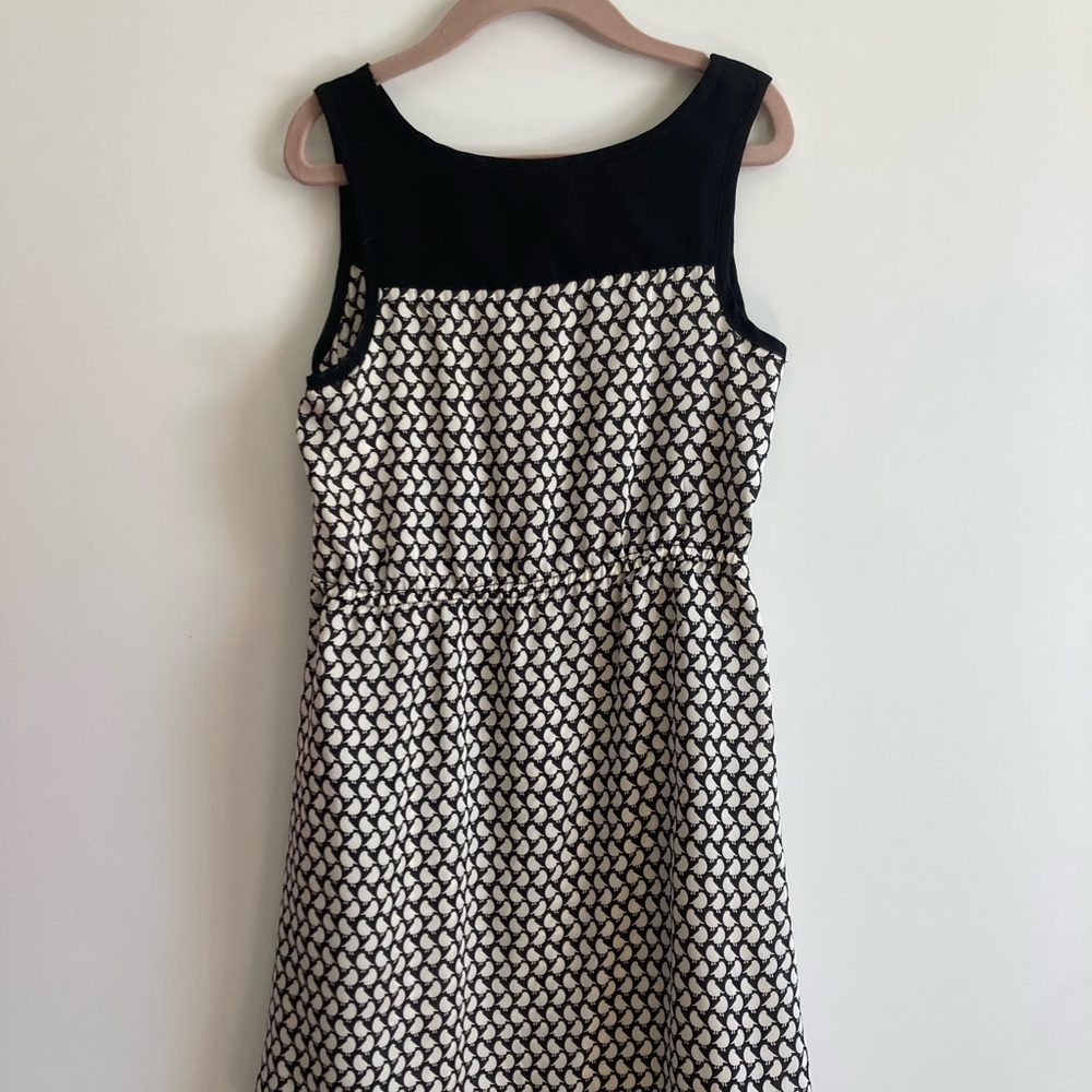 Little Pretties. Elegant Black and White Sleeveless Dress. Size 5, Black. White.